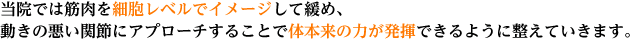当院では筋肉を細胞レベルでイメージして緩め、 動きの悪い関節にアプローチすることで体本来の力が発揮できるように整えていきます。