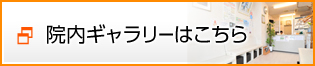 院内ギャラリーはこちら