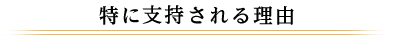 特に支持される理由